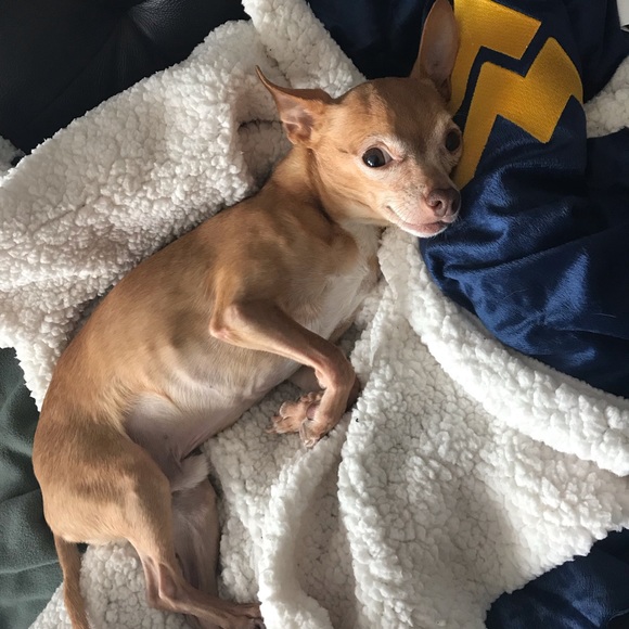 Meet your Posher, Sarah - Picture 3 of 3